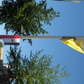 Hamilton Oar and Flag Light Posts